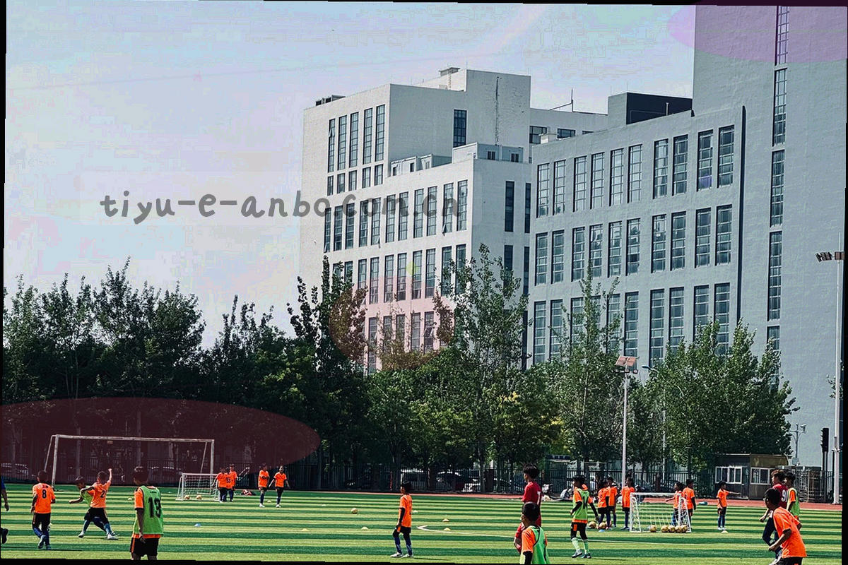 球场边线特写，草皮与白线在灯光下形成对比